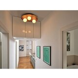 Osram plafonsko svetlo acacia nest 3xG9/5W/230V akacija | Eponuda.com