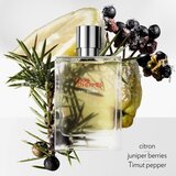 Hermès Terre d’Hermès Eau Givrée parfemska voda za muškarce 175 ml | shoptok.hr