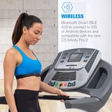 Capital Sports Allatech CS010, prsni pas, bluetooth 4.0, IPX7, univerzalna velikost, črna | Shoptok.si