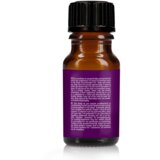 Pharmquest Španska Muha Spanish Fly Angel | Shoptok.si
