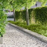  Ograda oko Travnjaka 20 kom. 100 x 30 cm Čelik Srebrna | shoptok.hr