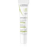 A-derma Dermalibour+ balzam za ustnice Cene