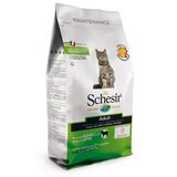 Schesir cat adult jagnjetina 0.4kg hrana za mačke Cene