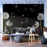  Tapeta - Dandelions in the wind 350x270 Cijene
