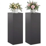 Stalak za biljke 2 pcs Crna 30 x 30 x 80 cm Čelik - Crna 2x (30 x 30 x 80 cm) | shoptok.hr