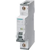Siemens Dig.Industr. LS stikalo 5SY4102-6, (20889724) Cene