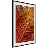  Poster - Bronze Leaf 30x45 | shoptok.hr