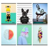 STREET Zvezek A4 Young, brezčrtni, 80 listov, sortirano, 1 kos | Shoptok.si