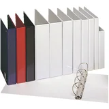 Esselte predstavitveni obroček za registrator Essentials, A4, bel, 4D obroč, (21651217)