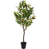 Signes Grimalt Umetne rastline Limonovo Drevo L Zelena | Shoptok.si