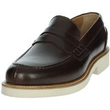 Gino Tagli 652 MICRO SPAZ Smeđa | shoptok.hr