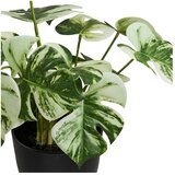 House Nordic Umjetna biljka (visina 41 cm) Monstera – | shoptok.hr