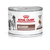 Royal Canin Veterinary Canine Recovery Mousse - 12 x 195 g | shoptok.hr