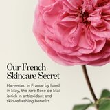 Chantecaille Pure Rosewater Travel Size vlažilno pomirjajoče in osvežilno pršilo 45 ml | Shoptok.si