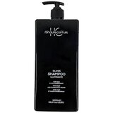  Renee Blanche HAUTE COIFFURE Gloss Illuminate Shampoo 1000ml – Šampon za kosu sa efektom posvetljavanja Cene