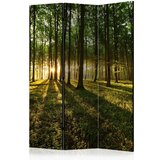  Paravan u 3 dijela - Morning in the Forest [Room Dividers] 135x172 | shoptok.hr