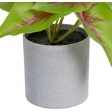 Ixia Umetna rastlina (višina 20 cm) Syngonium – | Shoptok.si