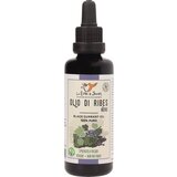 Le Erbe di Janas bio-olje semen ribeza Cene