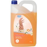  TTC Sapun tečni za ruke Sany 5kg cijene