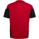 Adidas Funkcionalna majica 'DFB TR JSYY' rdeča | Shoptok.si