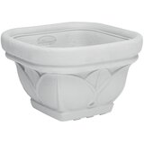 Saksija Di Martino Lotus | ePonuda.com