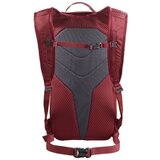 Salomon Trailblazer 10 Bordo | shoptok.hr