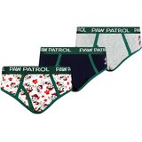 Frogies Boys briefs Paw Patrol 3P Cijene