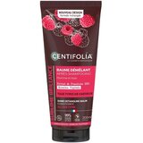 Centifolia balzam za raščešljavanje i sjaj kose | Eponuda.com