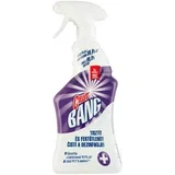 bleach & hygiene 750 ml