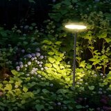  LED spoljašnja lampa LED/12W/230V 3000K IP65 antracit | Eponuda.com