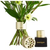  2-delni set "Bouquet Twister" - Champagne | Shoptok.si