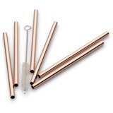 Echtwerk Set Slamic S Krtačko Straw, 6-Delni | Shoptok.si