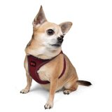 Paws & Whiskers Am za pse Air Mesh Claret Red 3XS | Eponuda.com