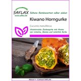 Saflax Afriška buča Kiwano | Shoptok.si