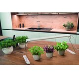 Ledvance LED unutrašnja svetiljka za biljke GARDEN LIGHT LED/14W/230V | Eponuda.com