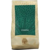 Essential Foods Hrana za pse Stamina, 10kg Cene