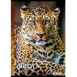  Bilježnica Street Young A4 karo 5 mm | shoptok.hr