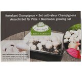 Esschert Design Sistem za gojenje Field Mushroom – | Shoptok.si