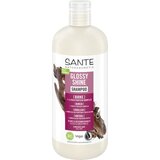Sante Glossy Shine Shampoo - 500 ml | Shoptok.si