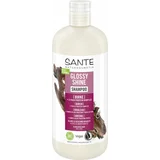 Sante Glossy Shine Shampoo - 500 ml