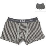 Le Petit Garçon LP1017-VIGORE RAYAS Višebojna Cijene