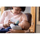 Philips Natural Response SCY903/81 steklenička za dojenčke Night Koala / 3-6 m 1 kos | Shoptok.si