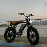 iTherapy Električni bicikl 250w | shoptok.hr