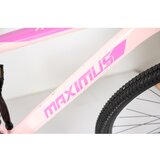 Winner Bike bicikla 29"/21 maximus pink ( BCK0950 ) | Eponuda.com
