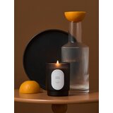 Sinsay Mirisna sojina svijeća Pear & Vanilla | shoptok.hr