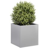 Maison Chic Cvetlični Lonec - Cvetlično korito 40x40x40 cm Pocinkano jeklo, (21790360) | Shoptok.si