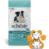 Schesir dog Medium Puppy, Chicken 12kg, Hrana Za Štence i Skotne Kuje Cene