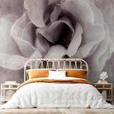 Artgeist Fototapeta Entrance To Bliss, 200x140cm | Shoptok.si