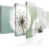  Slika - Windless Morning 200x100 Cijene