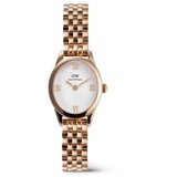 Daniel Wellington dw00100805 oval mini Cene
